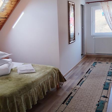 Hotel Garofita Pietrei Craiului Peştera Exterior foto