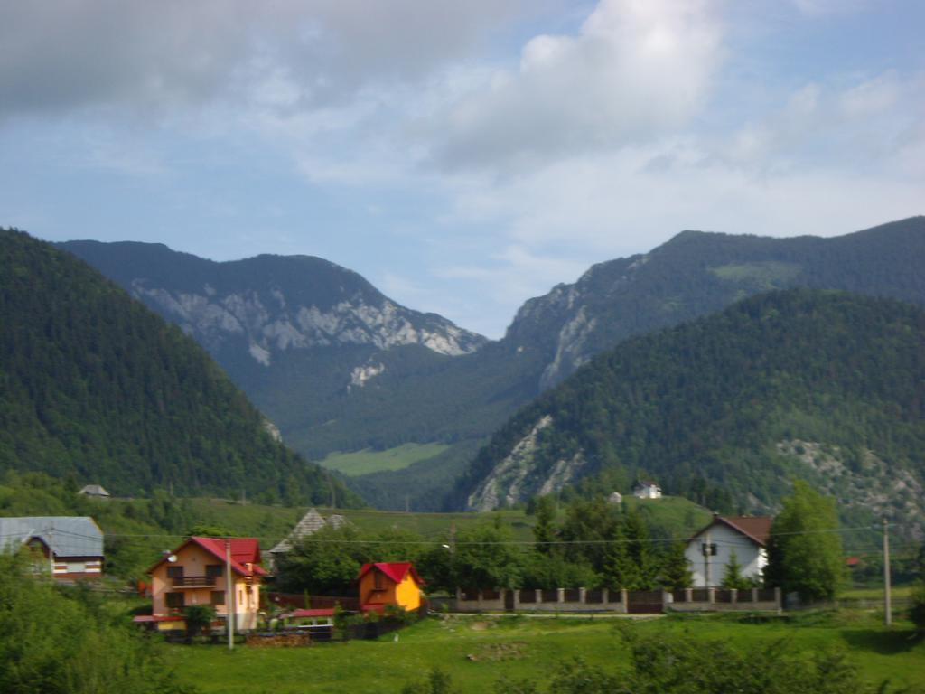 Hotel Garofita Pietrei Craiului Peştera Exterior foto