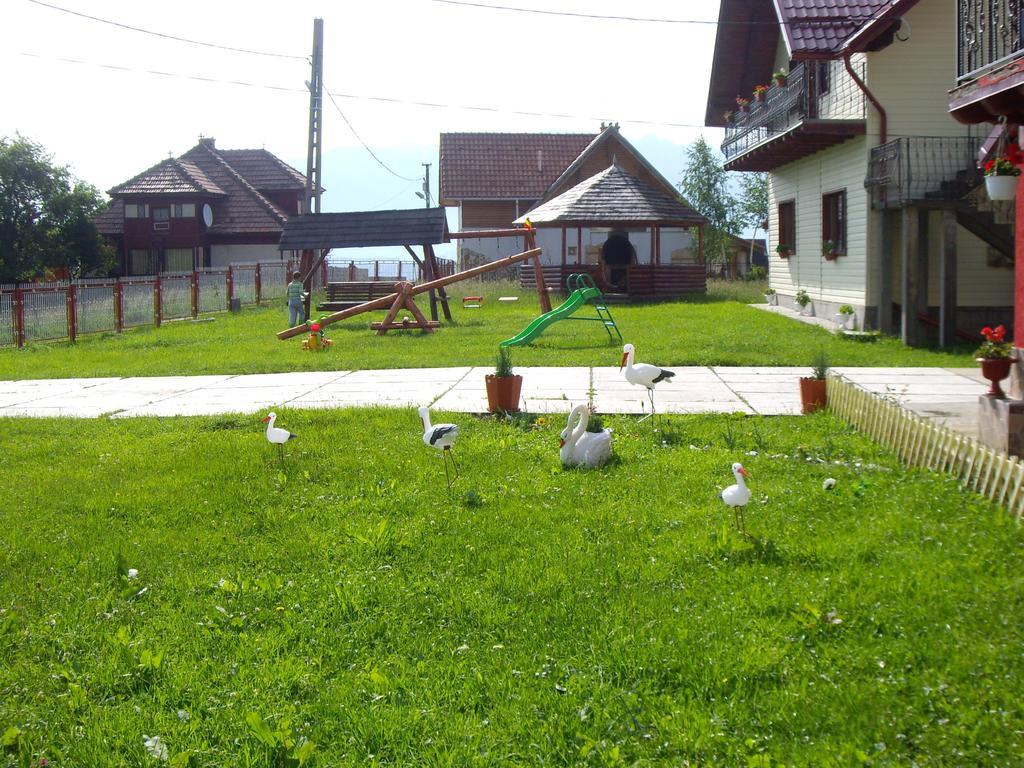 Hotel Garofita Pietrei Craiului Peştera Exterior foto