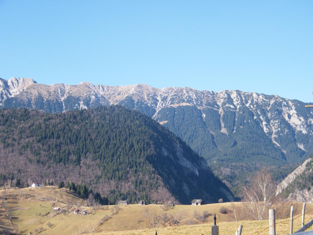 Hotel Garofita Pietrei Craiului Peştera Exterior foto