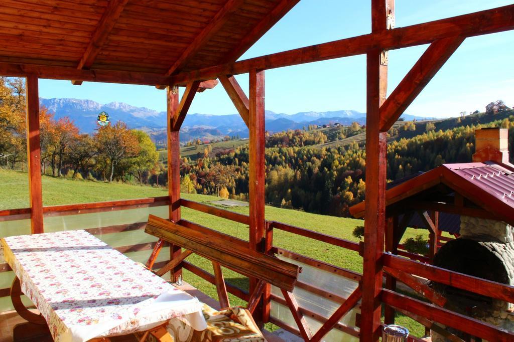 Hotel Garofita Pietrei Craiului Peştera Exterior foto